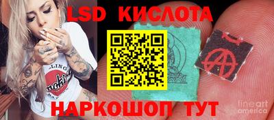 винт Тверь