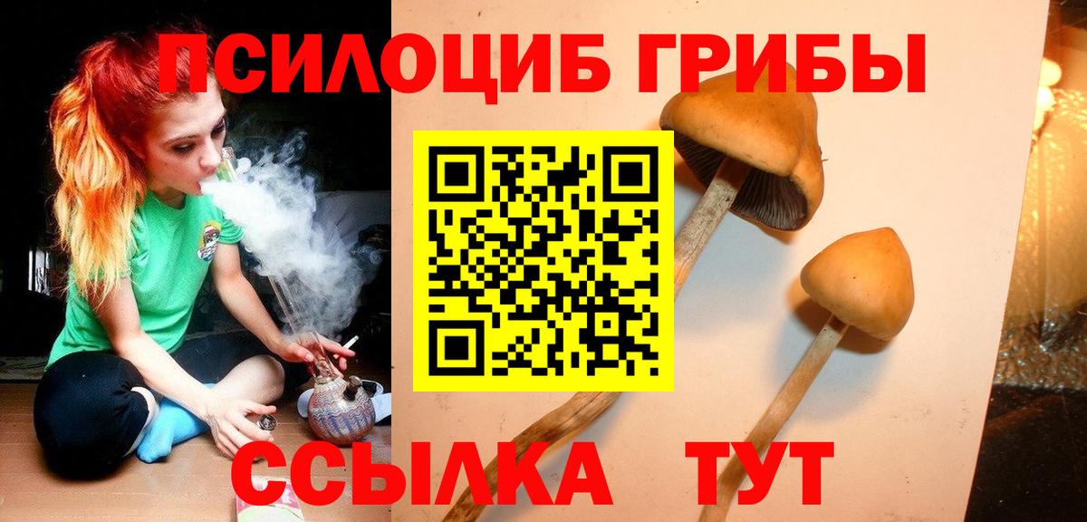 Псилоцибиновые грибы Psilocybine cubensis  Вход с VPN  Новороссийск 
